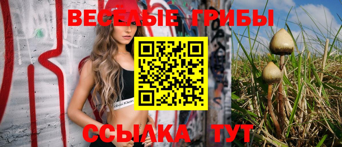 Галлюциногенные грибы Cubensis Кунгур