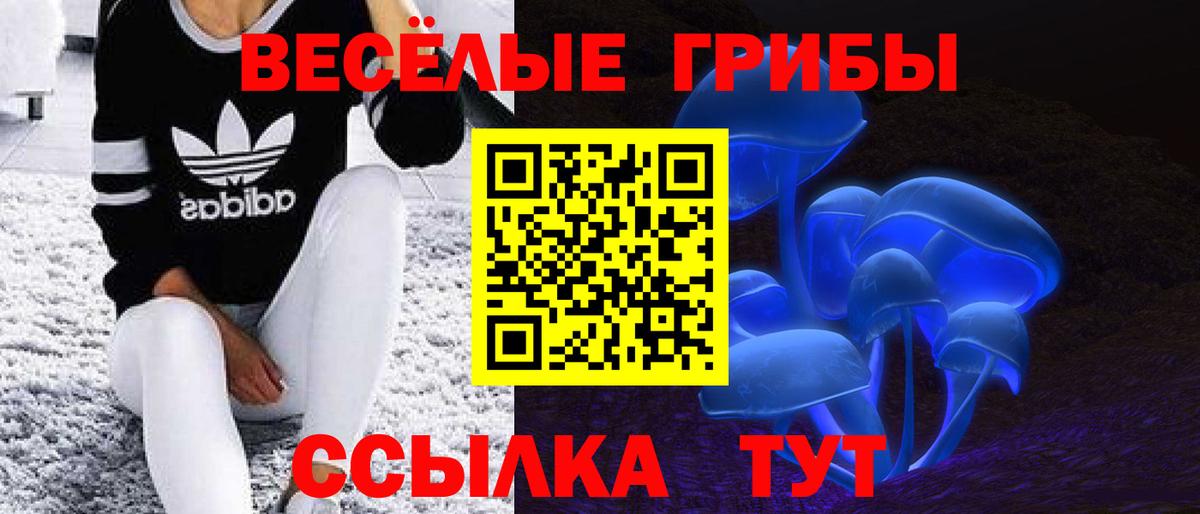 Гашиш  ГАШ  Купить закладку  Кокаин  МАРИХУАНА  Мефедрон   Кунгур  Вход с VPN 